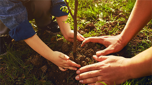 Cooperation with external bodies and other environmental activities