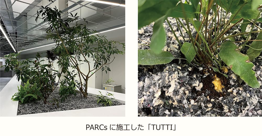 PARCsに施した「TUTTI」