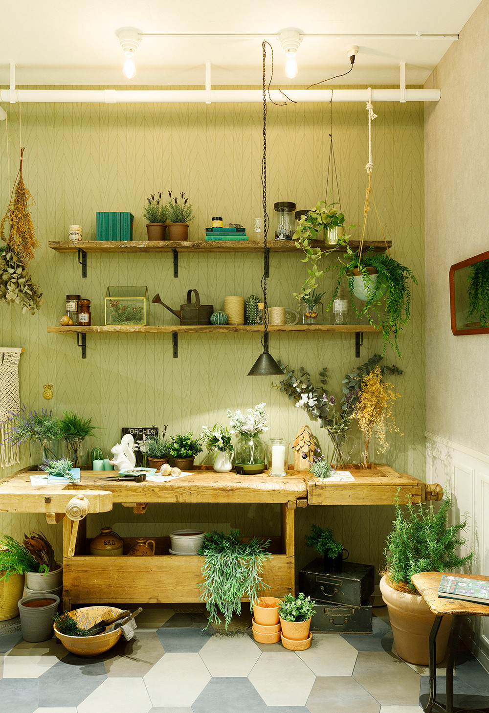 【BOTANICAL LIVING / Sunroom（左）】