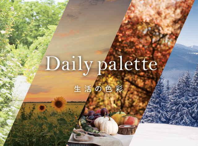 Daily Palette