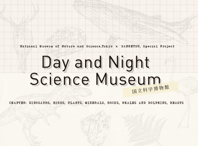 DAY AND NIGHT SCIENCE MUSEUM