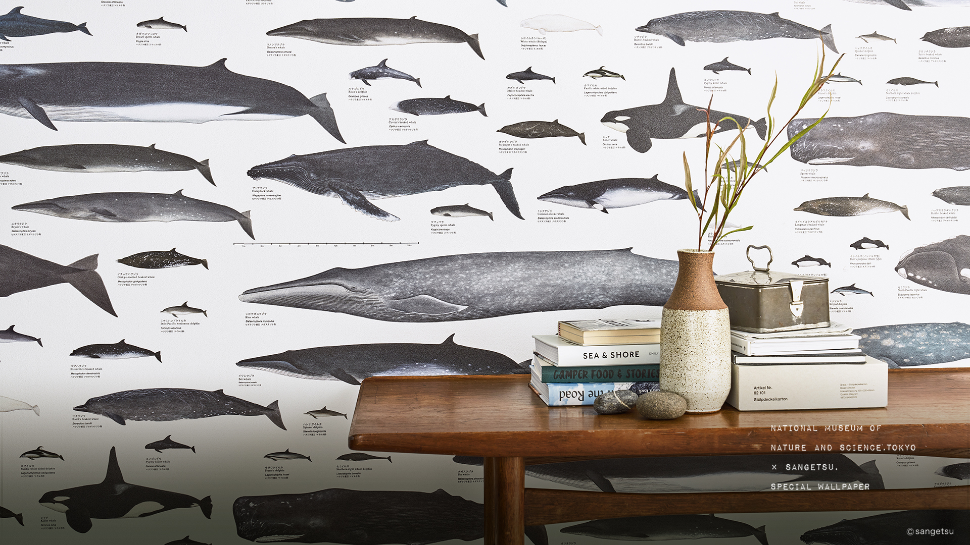 バーチャル背景画像ダウンロード Day And Night Science Museum サンゲツ