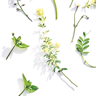 Recipe 昭和レトロな喫茶店 Have A Good Weekend 02 コーディネートレシピ 住まいをデザインしよう サンゲツ