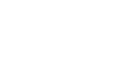 NT350