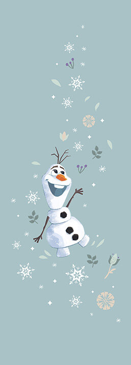 アナと雪の女王デザイン