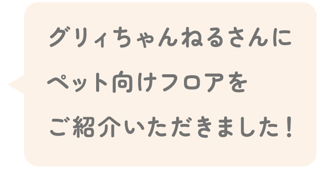 グリィちゃんねるさんにペット向けフロアをご紹介いただきました！