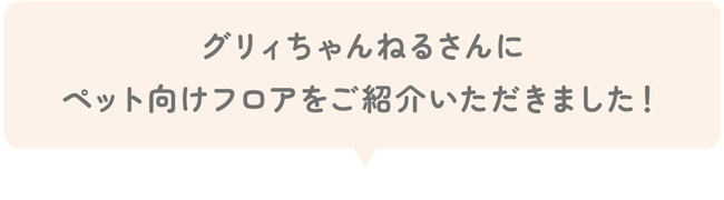 グリィちゃんねるさんにペット向けフロアをご紹介いただきました！